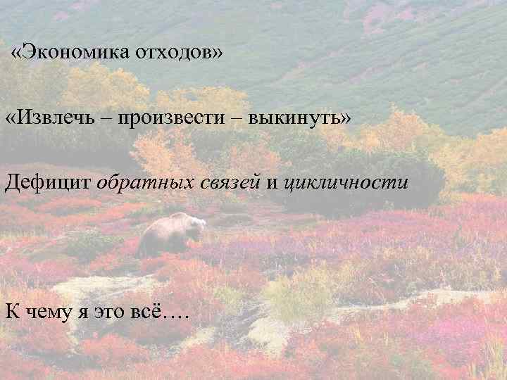  «Экономика отходов» «Извлечь – произвести – выкинуть» Дефицит обратных связей и цикличности К