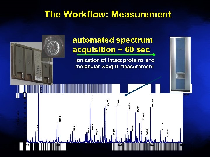 The Workflow: Measurement automated spectrum acquisition ~ 60 sec ionization of intact proteins and
