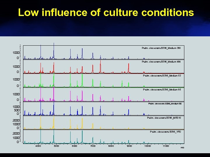 Low influence of culture conditions Psdm. oleovorans B 396_Medium 360 1000 0 Psdm. oleovorans