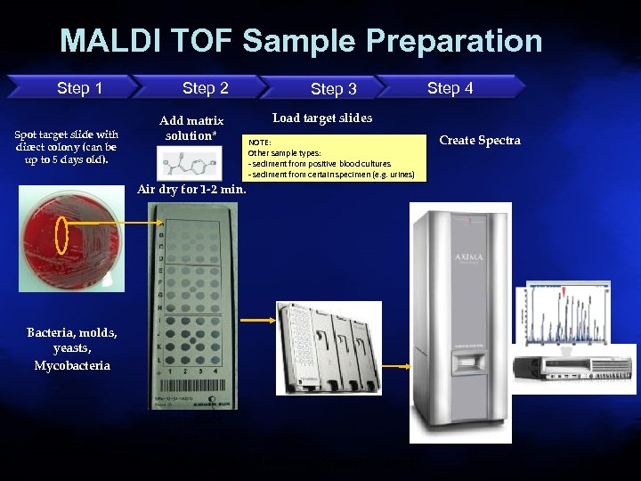MALDI TOF Sample Preparation Step 1 Spot target slide with direct colony (can be