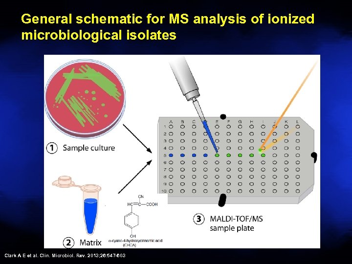 General schematic for MS analysis of ionized microbiological isolates Clark A E et al.