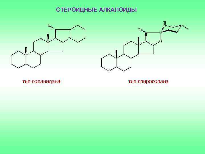 Стероидные сапонины