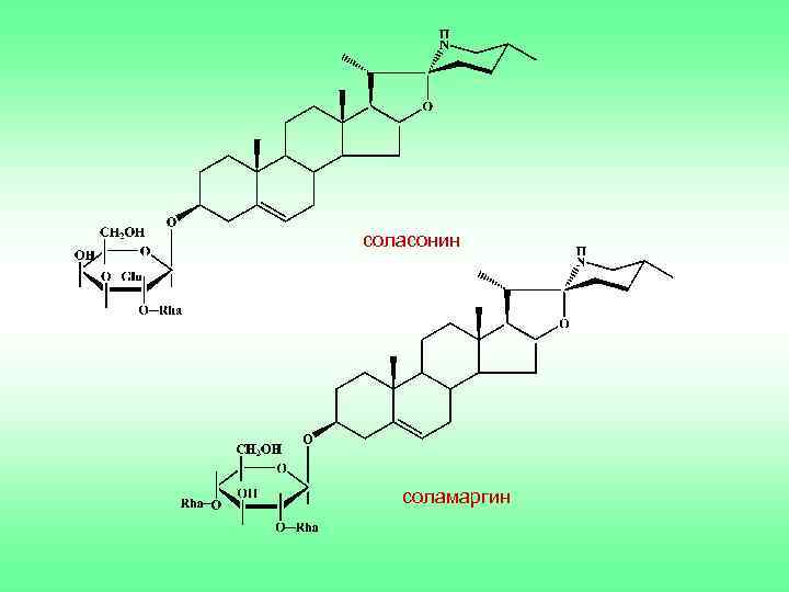 соласонин соламаргин 