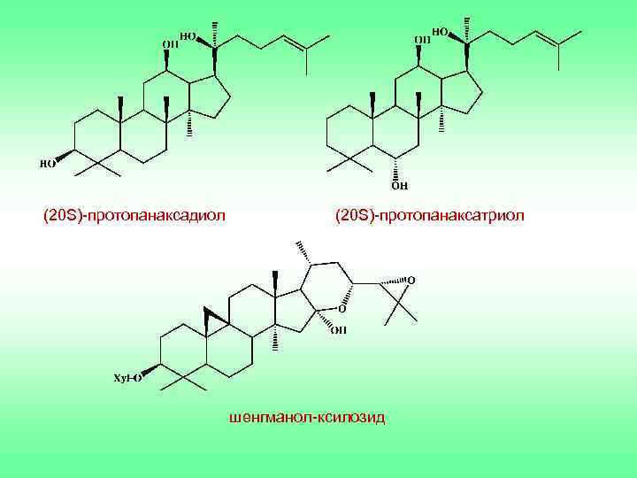 (20 S)-протопанаксадиол (20 S)-протопанаксатриол шенгманол-ксилозид 