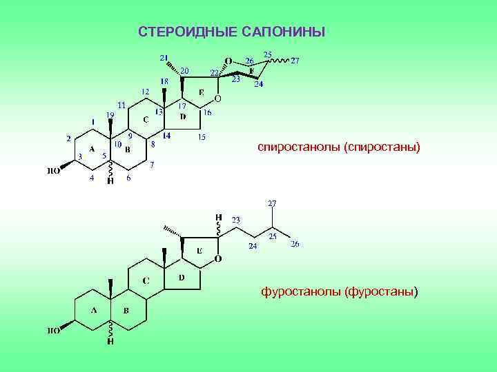 Стероидные сапонины. Стероидные сапонины формула. Сапонины структурная формула. Сапонины формула химическая. Структурная формула стероидного сапонина.