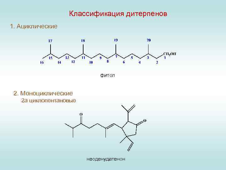 Классификация дитерпенов 1. Ациклические фитол 2. Моноциклические 2 а циклопентановые неоденудатенон 