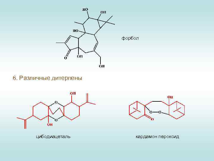 форбол 6. Различные дитерпены цибодиацеталь кардамон пероксид 