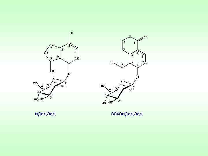 иридоид секоиридоид 