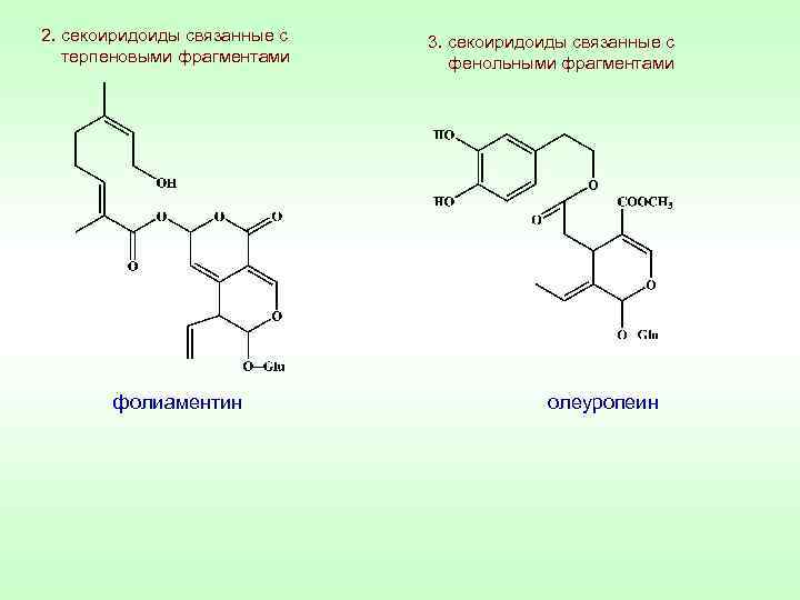 2. секоиридоиды связанные с терпеновыми фрагментами фолиаментин 3. секоиридоиды связанные с фенольными фрагментами олеуропеин
