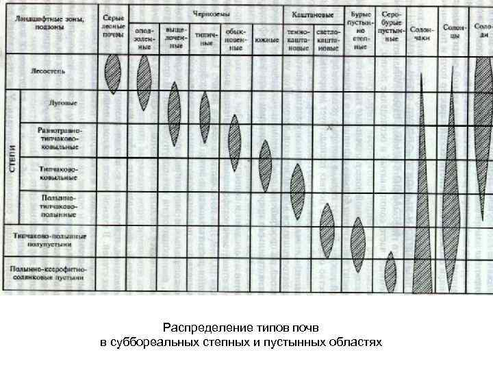Распределение типов почв в суббореальных степных и пустынных областях 