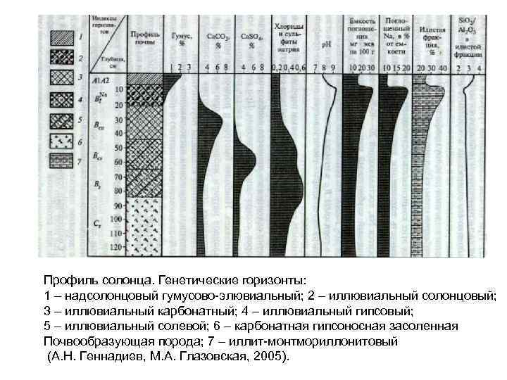 Профиль солонца. Генетические горизонты: 1 – надсолонцовый гумусово-элювиальный; 2 – иллювиальный солонцовый; 3 –