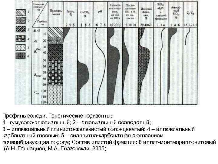 Профиль солоди. Генетические горизонты: 1 –гумусово-элювиальный; 2 – элювиальный осолоделый; 3 – иллювиальный глинисто-железистый