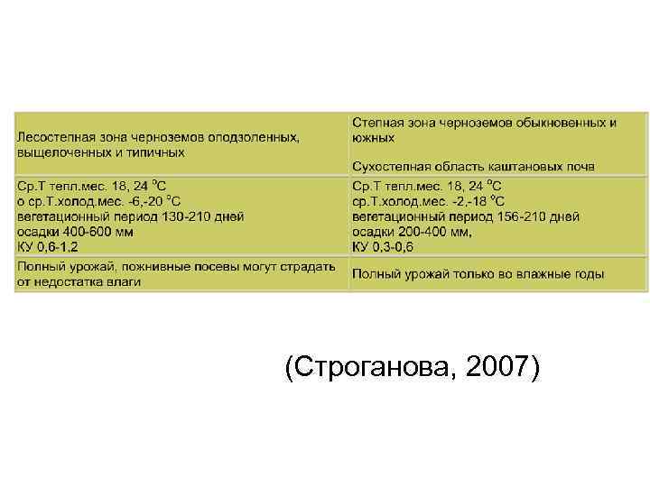 (Строганова, 2007) 