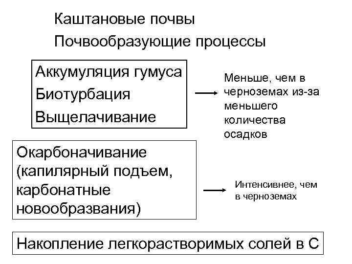 Каштановые почвы Почвообразующие процессы Аккумуляция гумуса Биотурбация Выщелачивание Окарбоначивание (капилярный подъем, карбонатные новообразвания) Меньше,