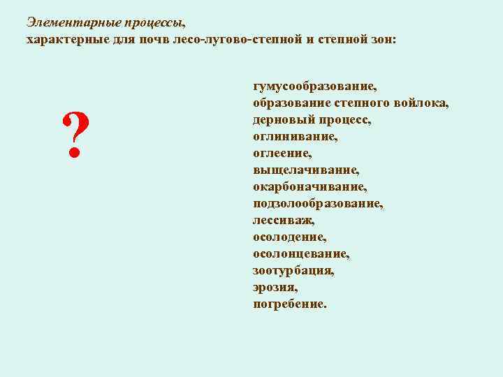 Элементарные процессы, характерные для почв лесо-лугово-степной и степной зон: ? гумусообразование, образование степного войлока,