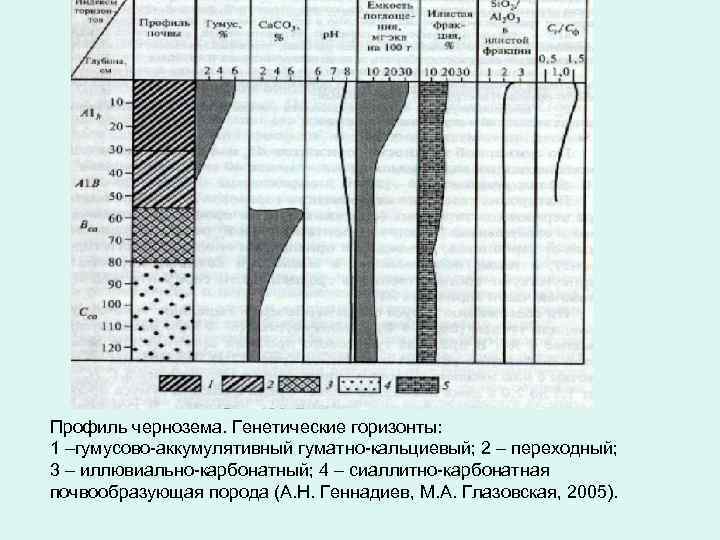 Профиль чернозема. Генетические горизонты: 1 –гумусово-аккумулятивный гуматно-кальциевый; 2 – переходный; 3 – иллювиально-карбонатный; 4