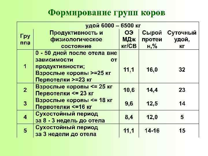 Формирование групп коров 