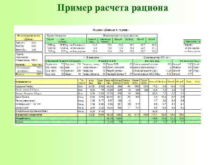 Пример расчета рациона 