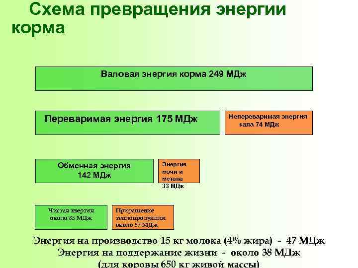 Схема превращения энергии