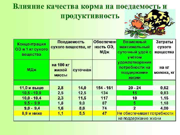 Влияние качества корма на поедаемость и продуктивность 