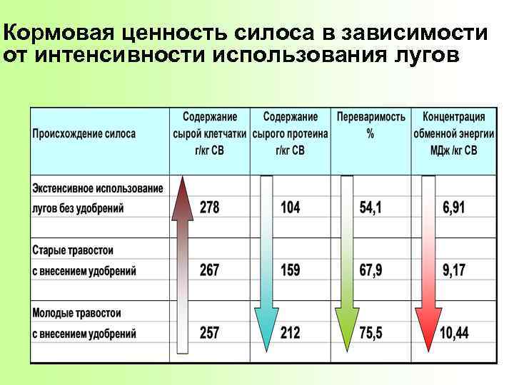 Кормовая ценность силоса в зависимости от интенсивности использования лугов 