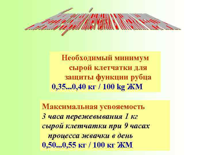 Необходимый минимум сырой клетчатки для защиты функции рубца 0, 35. . . 0, 40