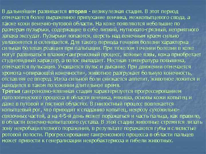 В дальнейшем развивается вторая везикулезная стадия. В этот период отмечается более выраженное припухание венчика,