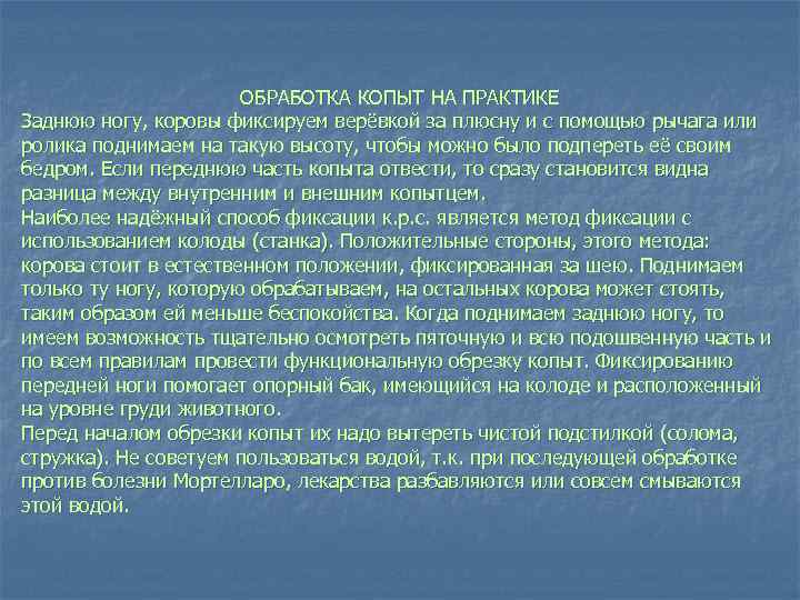 ОБРАБОТКА КОПЫТ НА ПРАКТИКЕ Заднюю ногу, коровы фиксируем верёвкой за плюсну и с помощью
