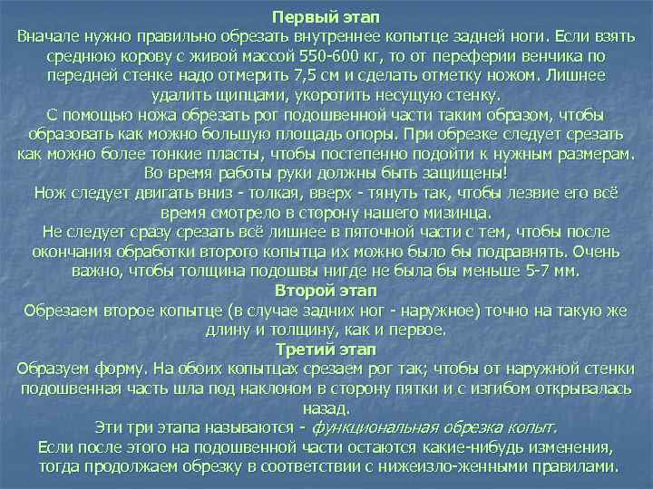 Первый этап Вначале нужно правильно обрезать внутреннее копытце задней ноги. Если взять среднюю корову
