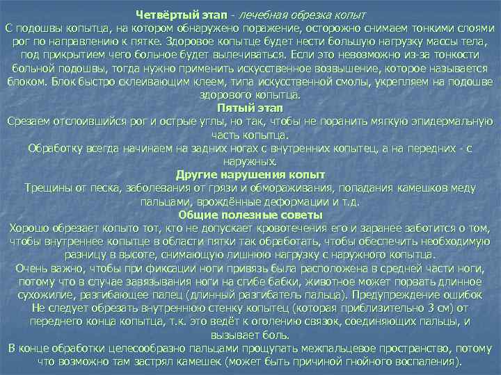 Четвёртый этап лечебная обрезка копыт С подошвы копытца, на котором обнаружено поражение, осторожно снимаем