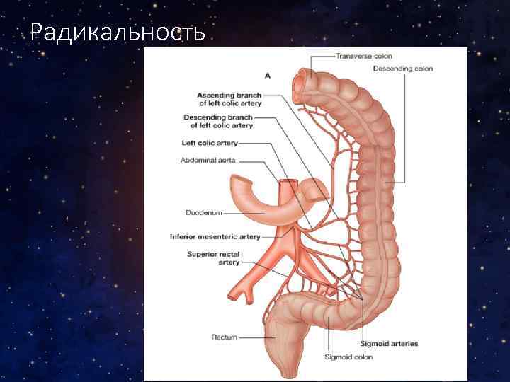 Радикальность 