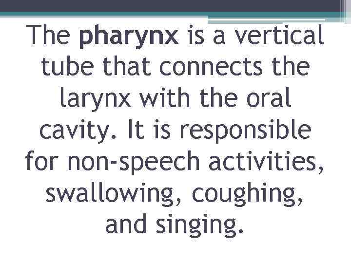 The pharynx is a vertical tube that connects the larynx with the oral cavity.