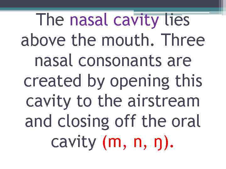 The nasal cavity lies above the mouth. Three nasal consonants are created by opening
