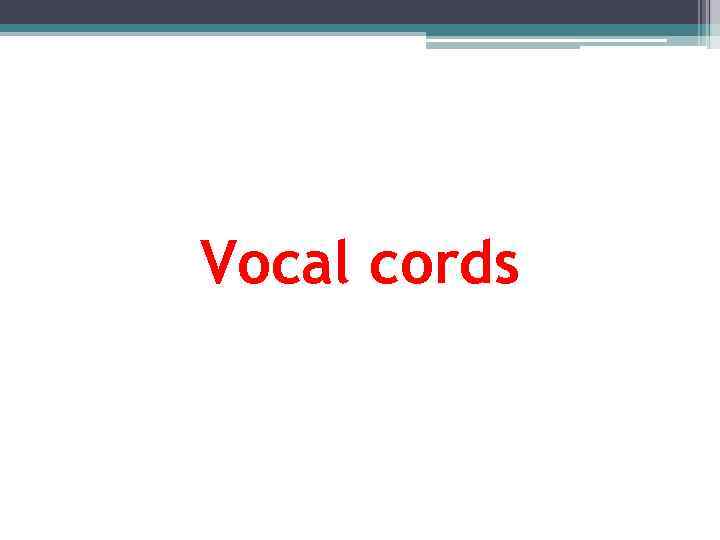 Vocal cords 