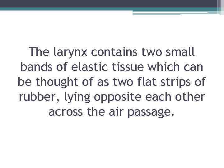 The larynx contains two small bands of elastic tissue which can be thought of