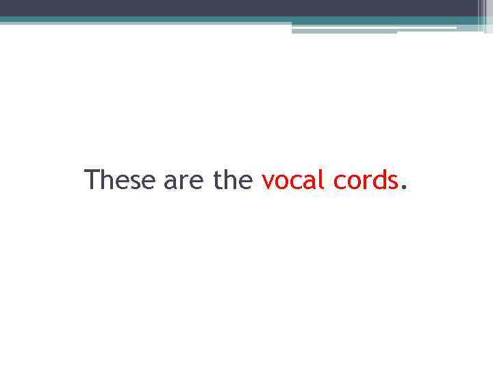 These are the vocal cords. 