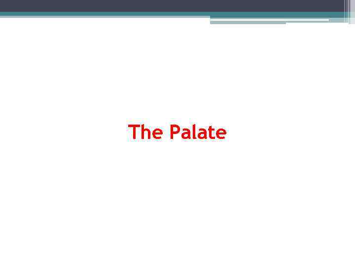 The Palate 