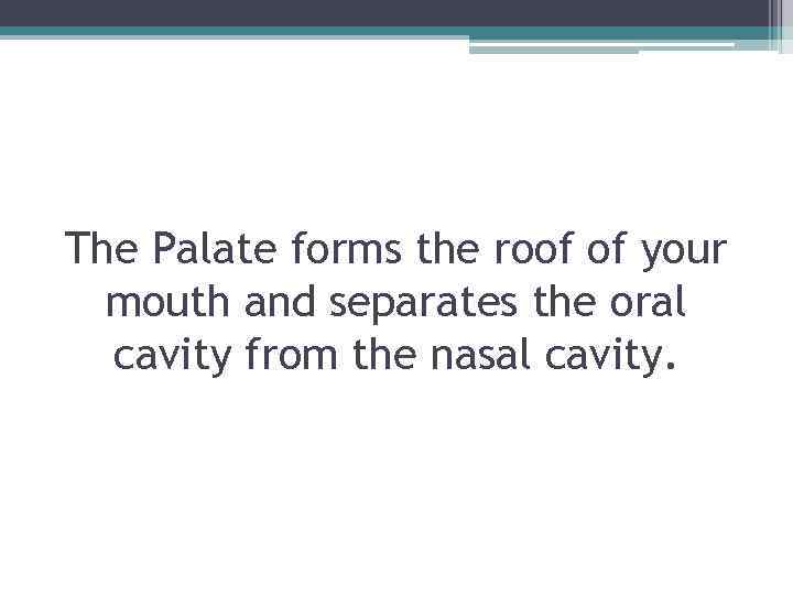 The Palate forms the roof of your mouth and separates the oral cavity from