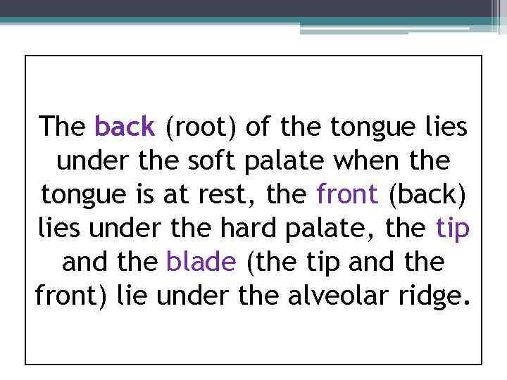 The back (root) of the tongue lies under the soft palate when the tongue