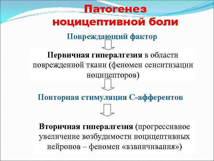 Патогенез ноцицептивной боли Повреждающий фактор Первичная гипералгезия в области поврежденной ткани (феномен сенситизации ноцицепторов)