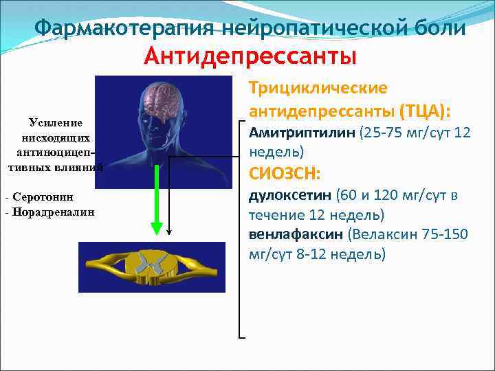 Фармакотерапия нейропатической боли Антидепрессанты Усиление нисходящих антиноцицептивных влияний - Серотонин - Норадреналин Трициклические антидепрессанты