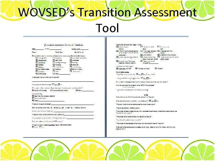 WOVSED’s Transition Assessment Tool 