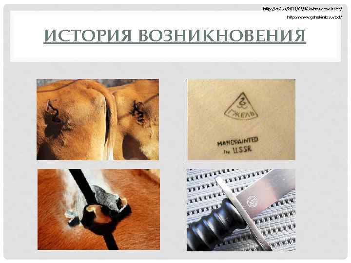 http: //a-3. kz/2011/05/16/whos-cow-is-this/ http: //www. gzhel-info. ru/bd/ ИСТОРИЯ ВОЗНИКНОВЕНИЯ 