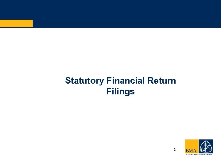 Statutory Financial Return Filings 5 