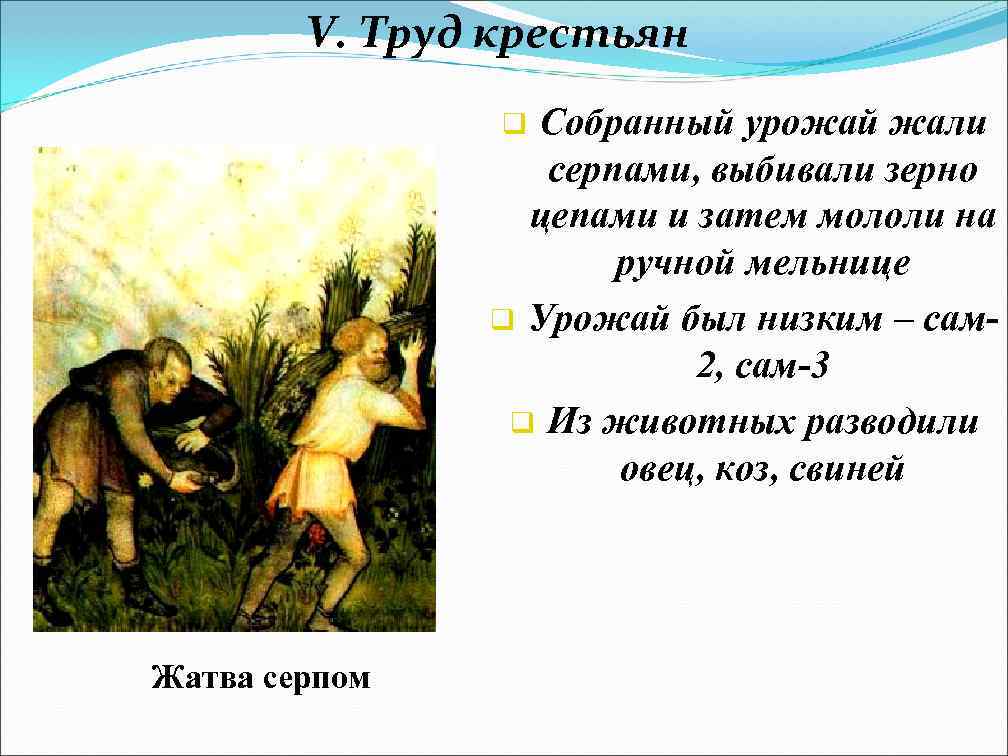 V. Труд крестьян Собранный урожай жали серпами, выбивали зерно цепами и затем мололи на