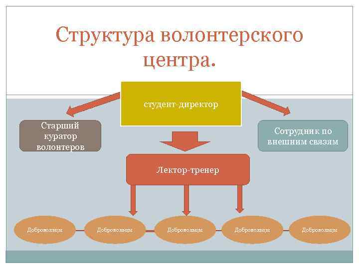 Организация волонтерского центра. Структура организации волонтерской деятельности. Структура волонтерского центра. Организационная структура волонтерского центра. Структура волонтерского отряда.