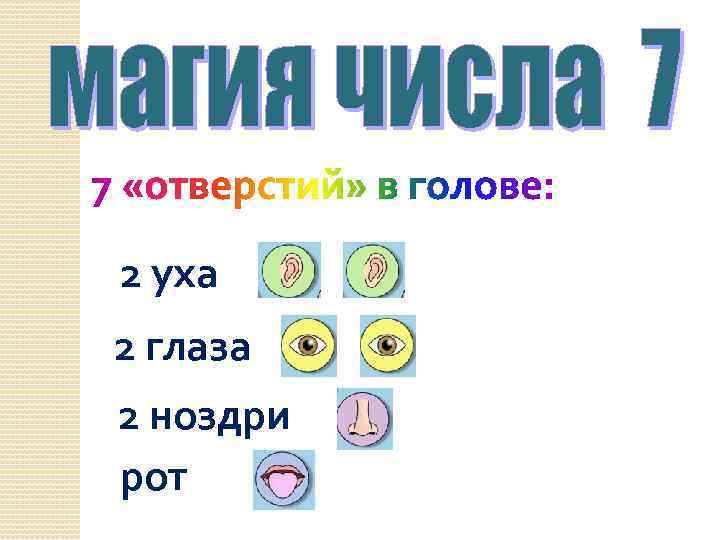 2 уха 2 глаза 2 ноздри рот 