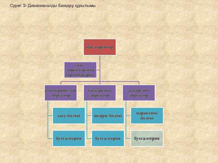 Сурет 3 - Дивизионалды басқару құрылымы бас директордың орынбасары коммерциялық директор басқарушы директор атқарушы