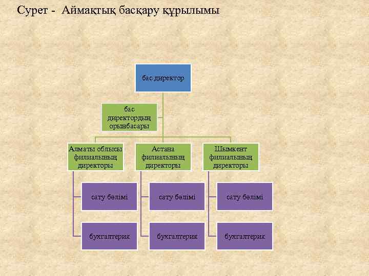 Сурет - Аймақтық басқару құрылымы бас директордың орынбасары Алматы облысы филиалының директоры Астана филиалының
