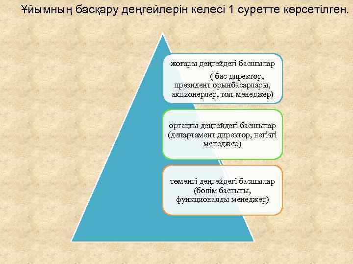 Ұйымның басқару деңгейлерін келесі 1 суретте көрсетілген. жоғары деңгейдегі басшылар ( бас директор, президент